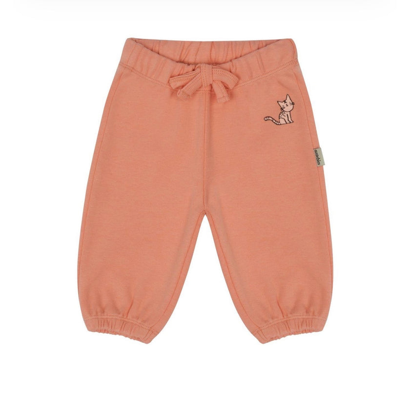 Antebies Baby Cat Sweatpants, NWT, Multiple Sizes