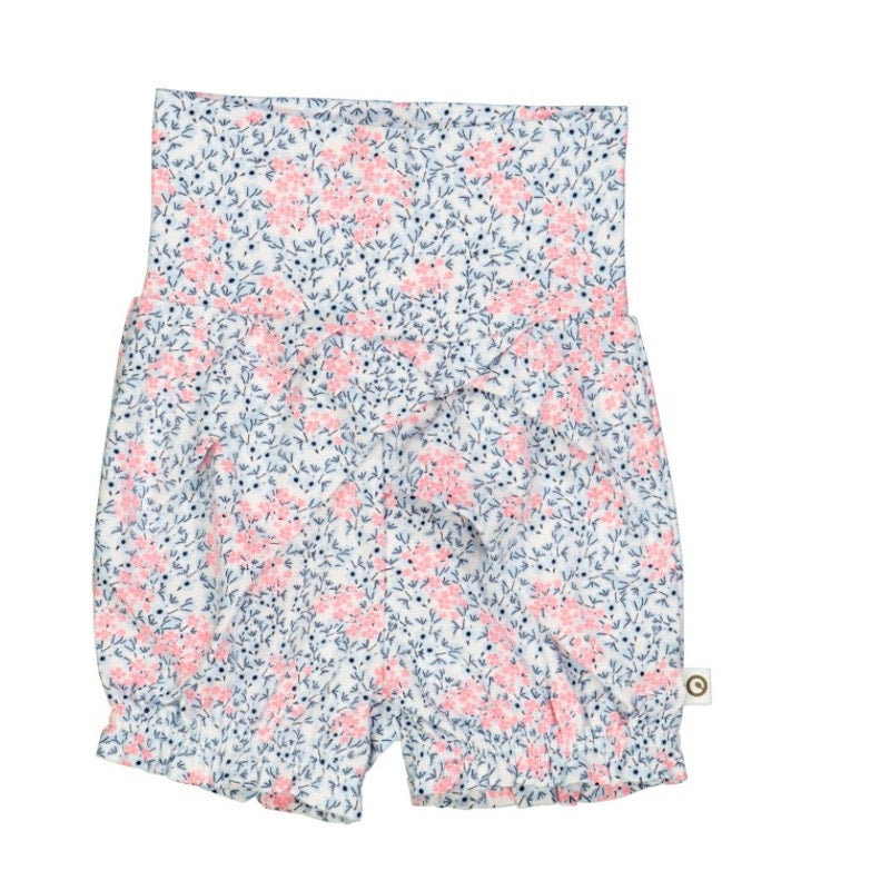 Musli, Petit Bloomers