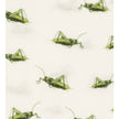 Milkbarn, Organic Jogger, Grasshopper