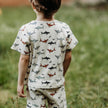Antebies, Shark Short Sleeve Pajama Set, NWT, Size 7-8 Years