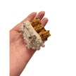 Minime Paris, Baguette in Bag Brooch