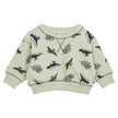Antebies, Dinosaur Adventure Sweatshirt