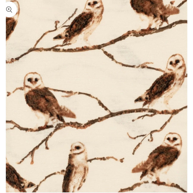 Milkbarn Owl Bamboo Dress and Leggings Set NWT size 3/6 months